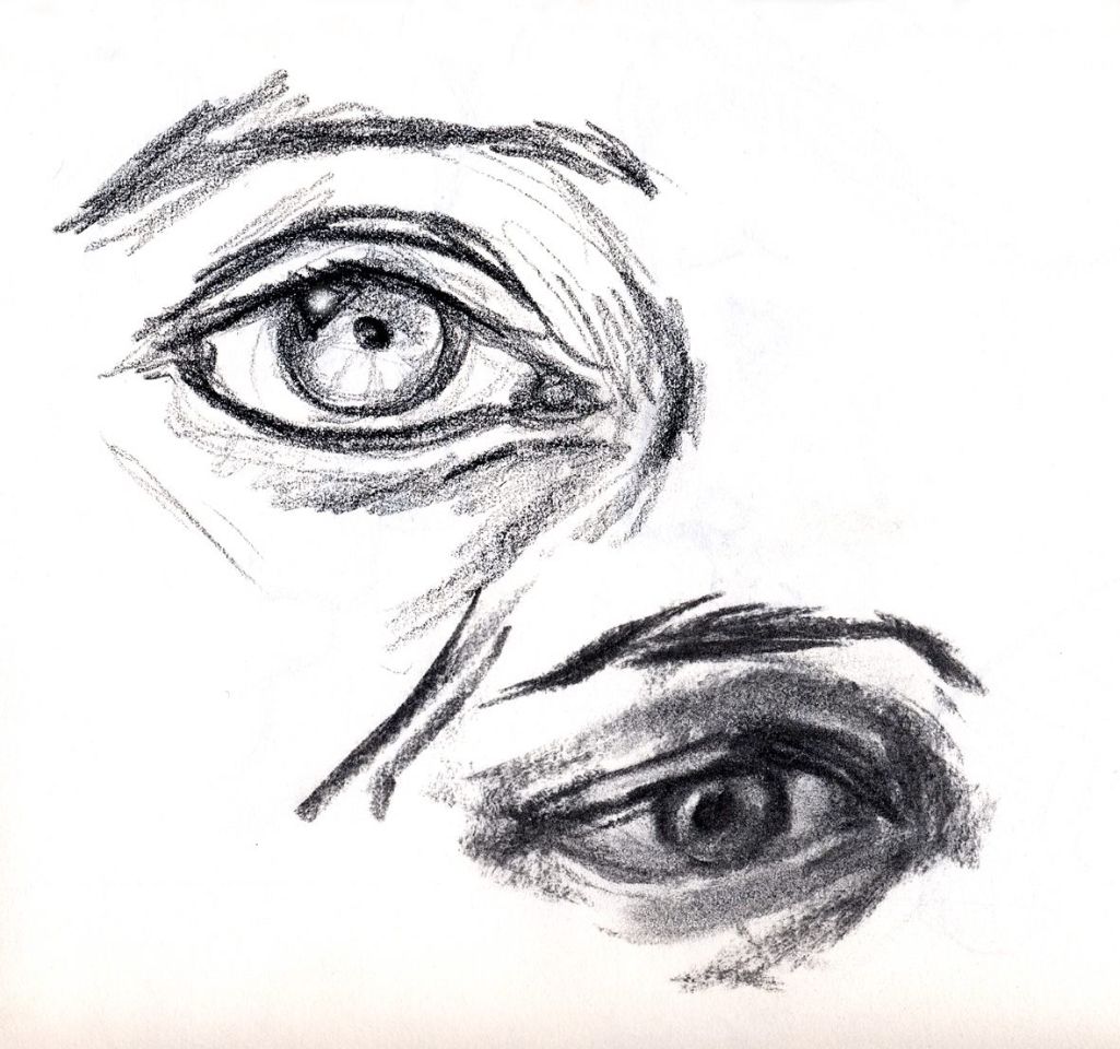 eyes study